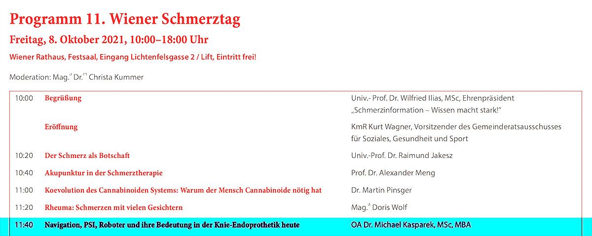 11_wiener-schmerztag_programm